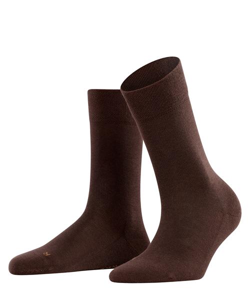 FALKESensitiveLondonSO464725233darkbrown__1