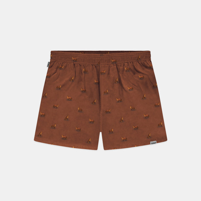 PockiesFoxBoxerFoxBrownBrown__1