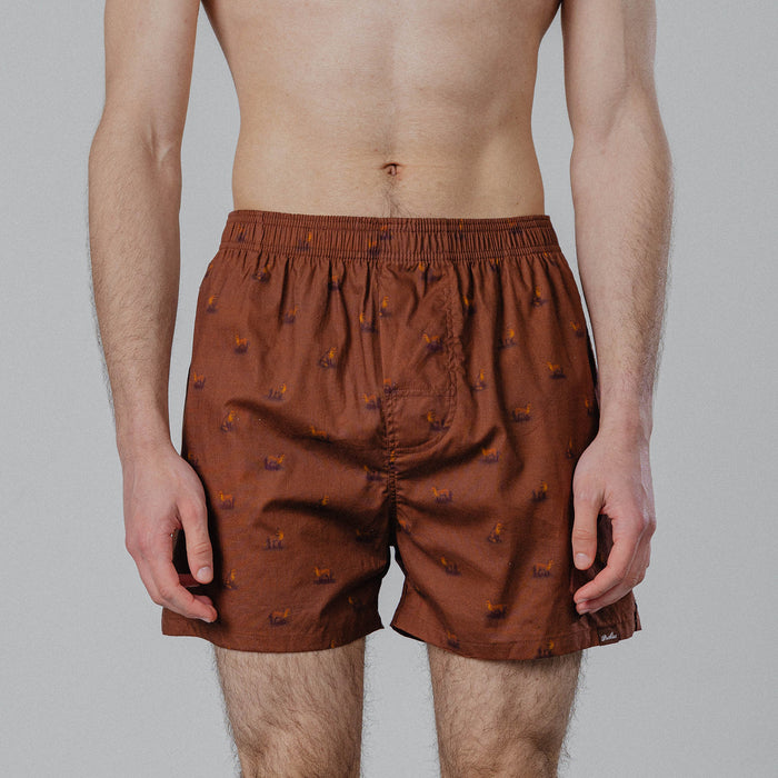 PockiesFoxBoxerFoxBrownBrown__2
