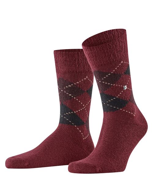 Preston SO 24284 8432 berry-chestnut