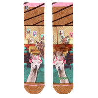 XPOOOSGiftboxWomen301012013303010120217000P2pAssortment__3