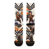 XPOOOSMenSocksBearbeer3010110577000Assortment__1