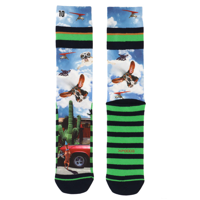 XPOOOS Men Socks Flappie 301011027 7000 Mix