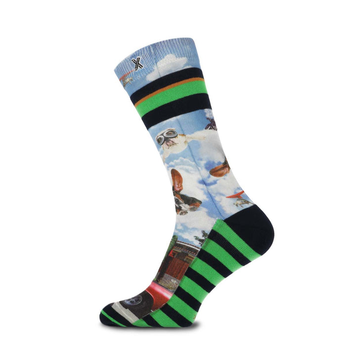 XPOOOS Men Socks Flappie 301011027 7000 Mix