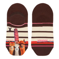 XPOOOSWomenFootiesPisa3010220347000Assortment__1