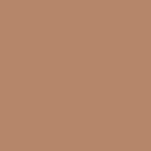 Panty Nude 8 denier 10272 4365 gobi