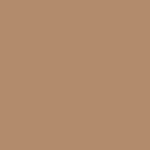 Panty Nude 8 denier 10272 4738 fairy light